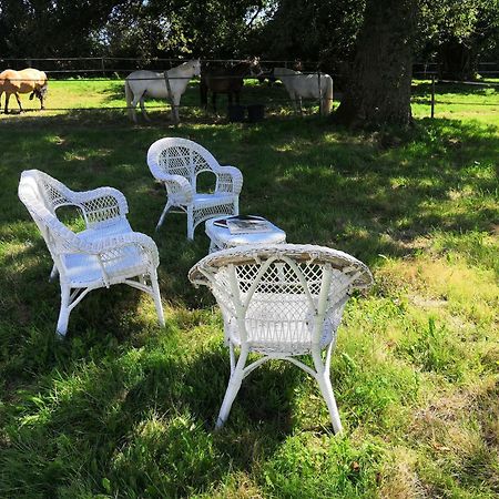 Bed and Breakfast La Marquise Penchee Orsennes Экстерьер фото
