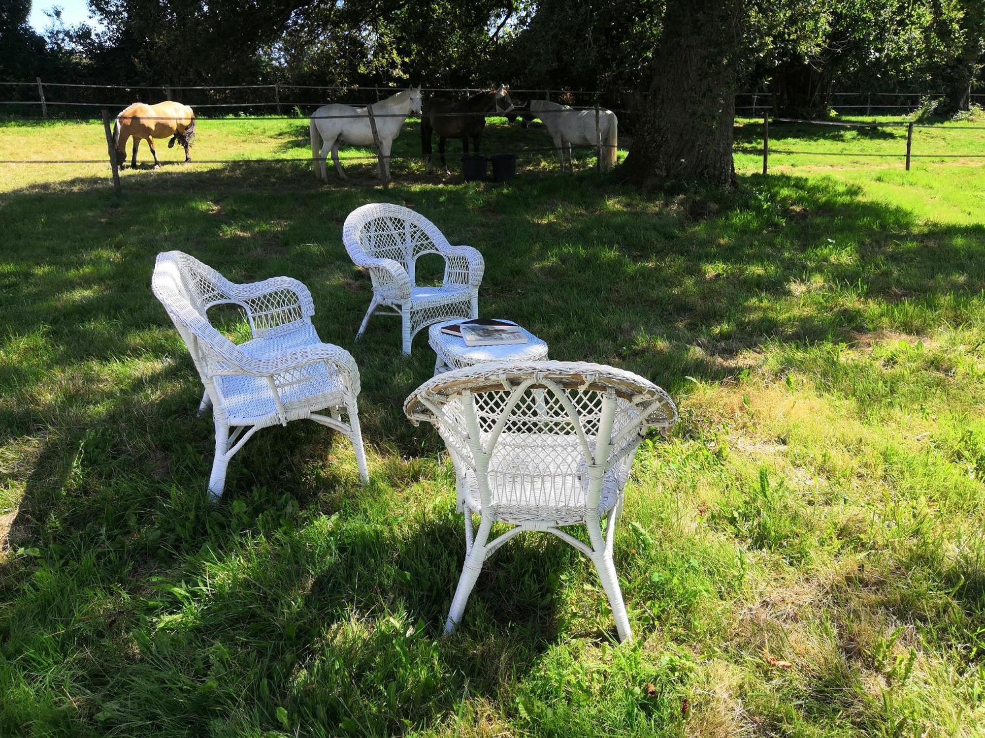 Bed and Breakfast La Marquise Penchee Orsennes Экстерьер фото